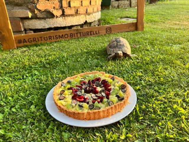 Agriturismo Bitturelli Ponti sul Mincio Exteriör bild